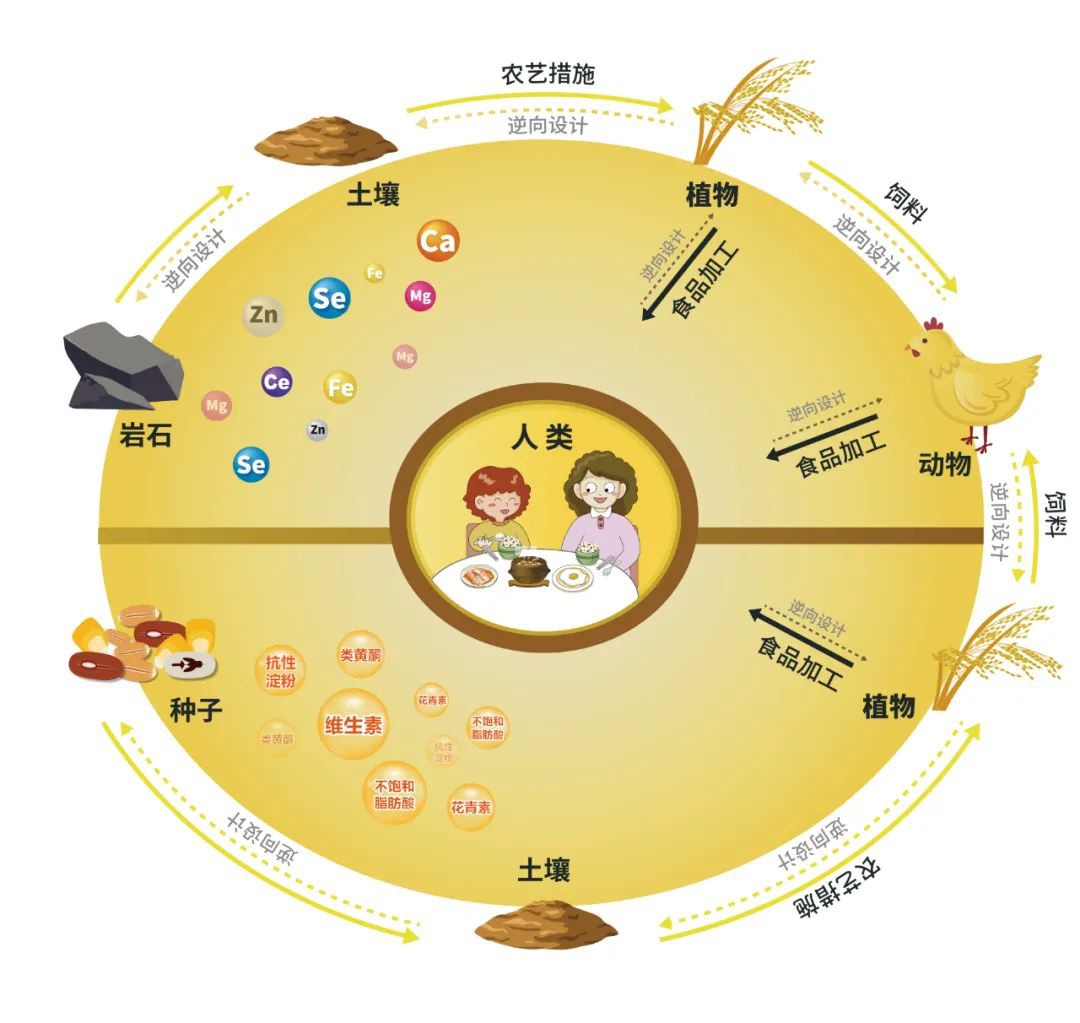 2022.9.16功能農業首次走進楊凌農高會(4).jpg 2022.9.16功能農業首次走進楊凌農高會(4).jpg